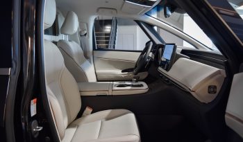 Lexus LM 350h Luxury 4 plazas lleno